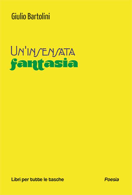 Un'insensata fantasia - Giulio Bartolini - copertina
