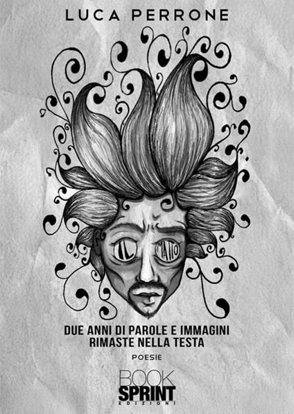 Il matto. Due anni di parole e immagini rimaste nella testa - Luca Perrone - copertina