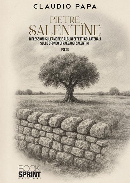 Pietre salentine - Claudio Papa - ebook
