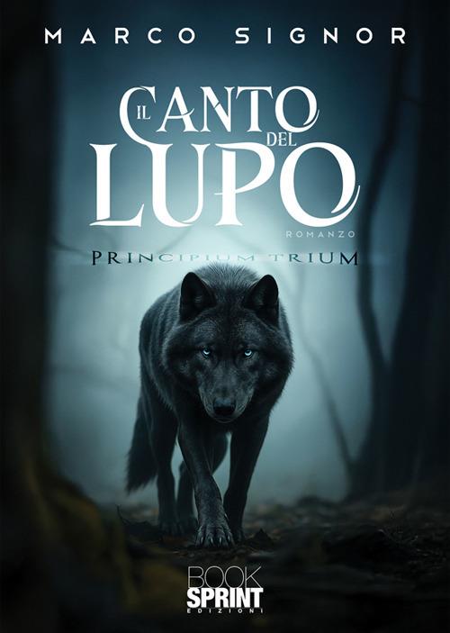 Il canto del lupo - Marco Signor - ebook