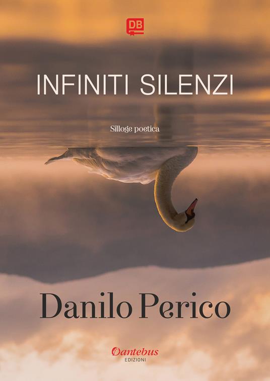 Infiniti silenzi - Danilo Perico - ebook