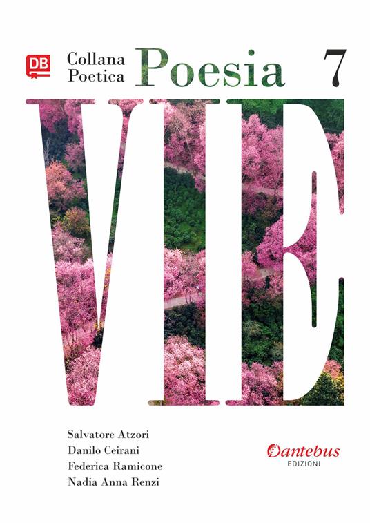 Vie. Collana poetica. Vol. 7 - Salvatore Atzori,Danilo Ceirani,Federica Ramicone,Nadia Anna Renzi - ebook