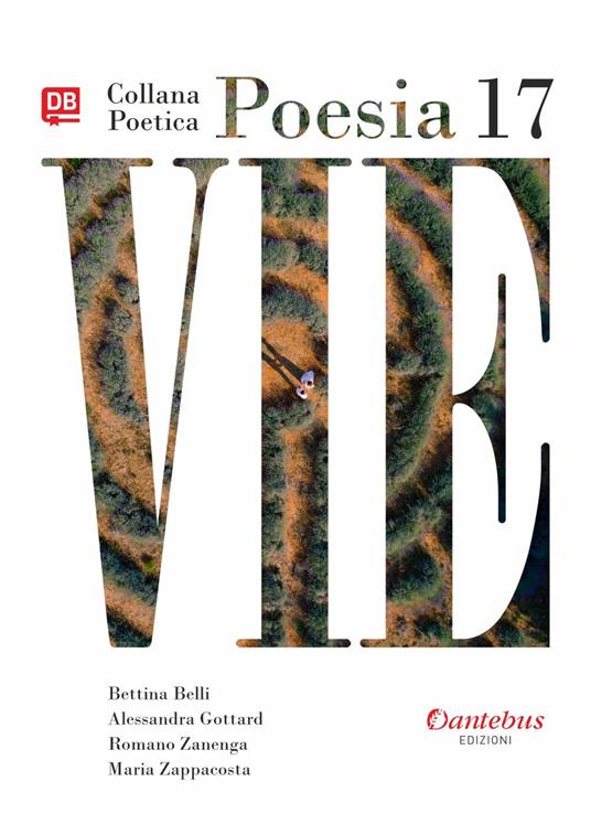 Vie. Collana poetica. Vol. 17 - Bettina Belli,Alessandra Gottard,Romano Zanenga,Maria Zappacosta - ebook