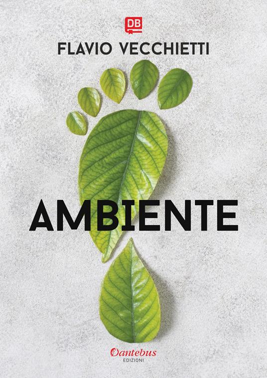 Ambiente - Flavio Vecchietti - copertina