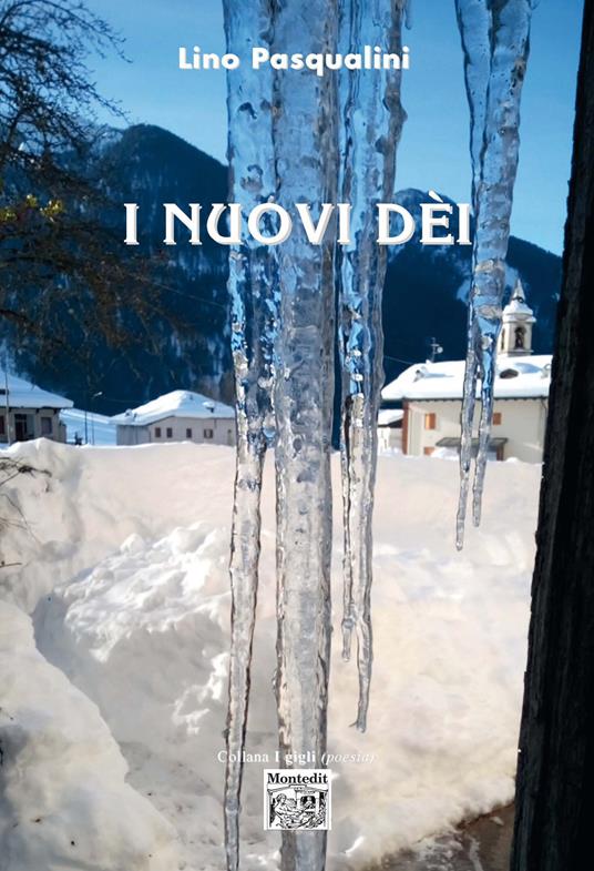 I nuovi dèi - Lino Pasqualini - copertina