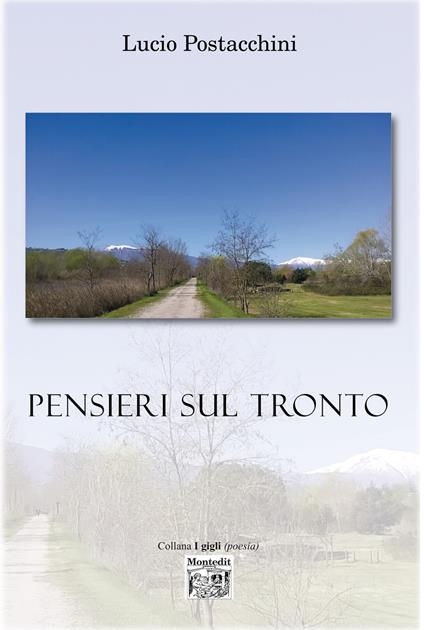 Pensieri sul Tronto - Lucio Postacchini - ebook