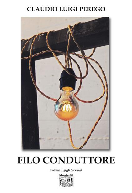 Filo conduttore - Claudio Luigi Perego - copertina