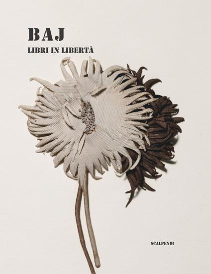 Baj. Libri in libertà. Ediz. illustrata - copertina