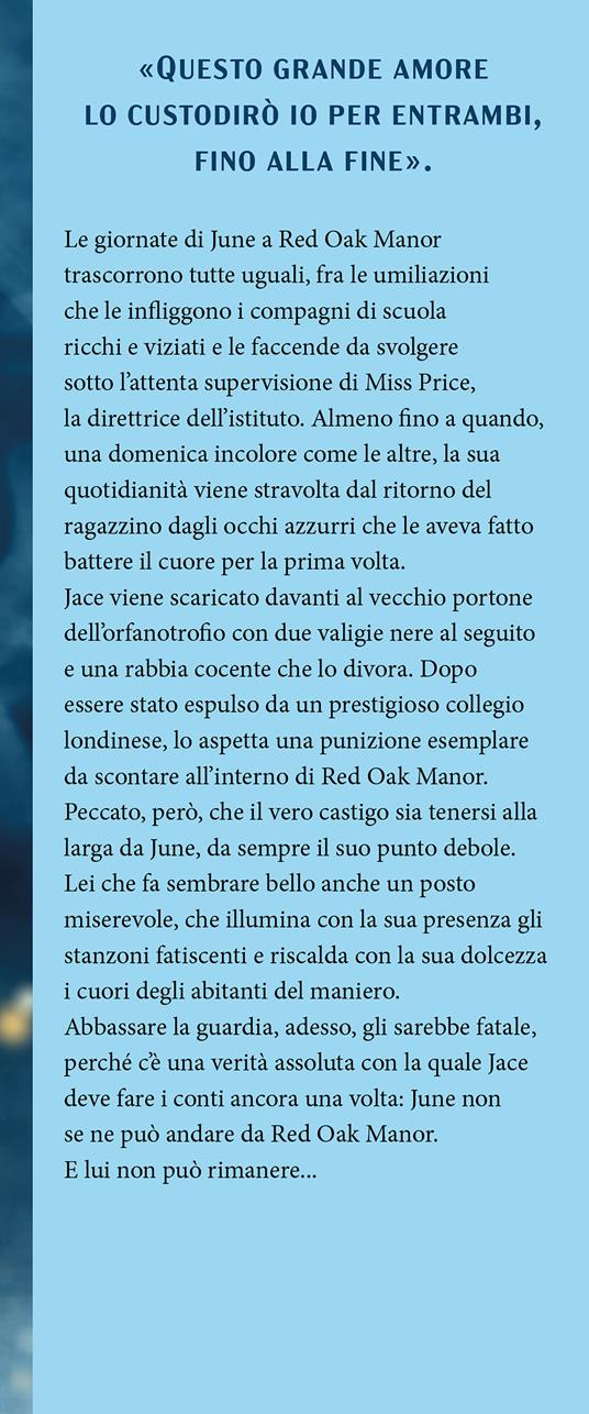 Wings. Red Oak Manor Collection - Valentina Ferraro - 3