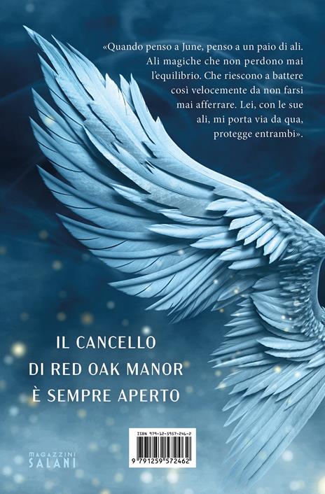 Wings. Red Oak Manor Collection - Valentina Ferraro - 4