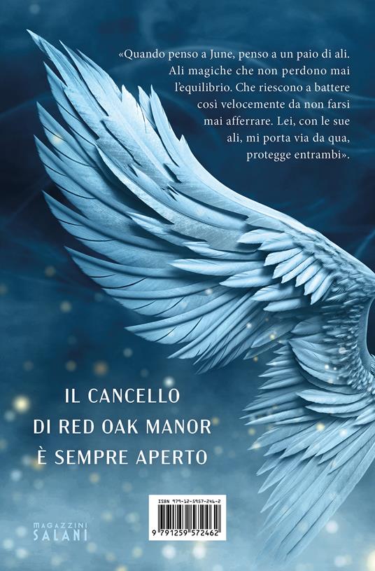 Wings. Red Oak Manor Collection - Valentina Ferraro - 4