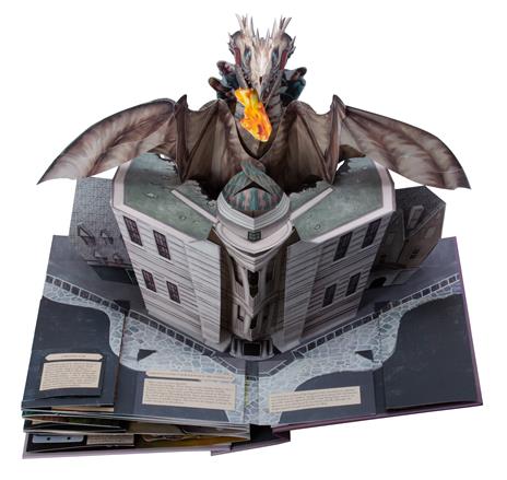 Harry Potter. Mondo magico. Il libro pop-up. Ediz. a colori - Matthew Reinhart - 2