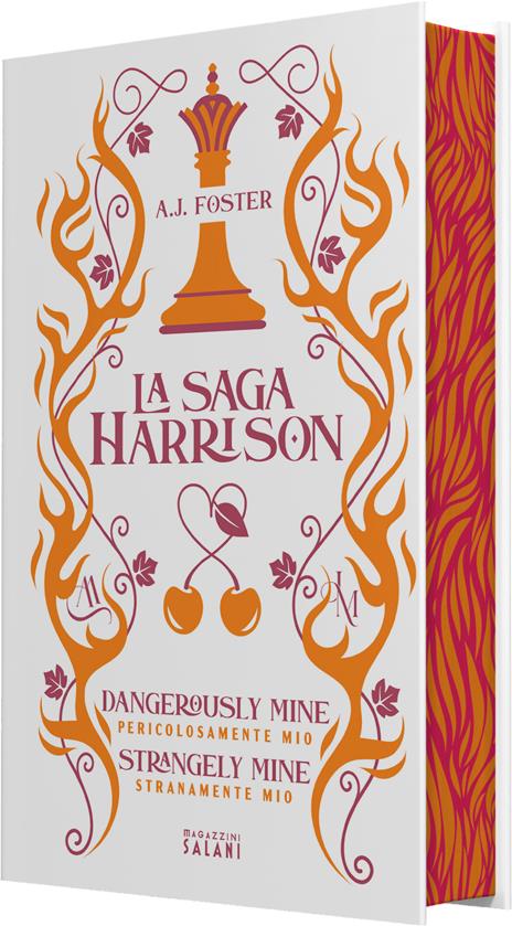 La saga Harrison 1 e 2. Platinum - A.J. Foster - 2