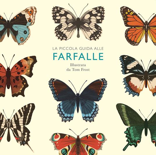 Piccola guida alle farfalle. Ediz. a colori - Alison Davies - copertina