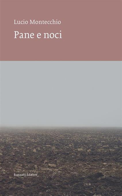 Pane e noci - Lucio Montecchio - ebook