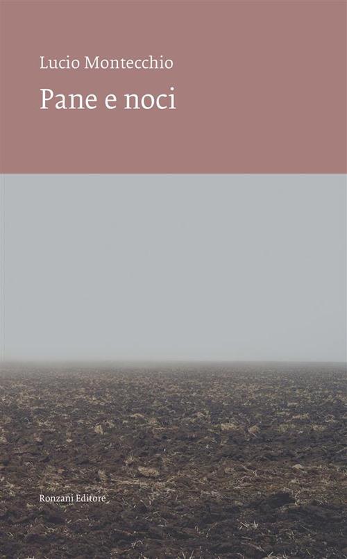 Pane e noci - Lucio Montecchio - ebook