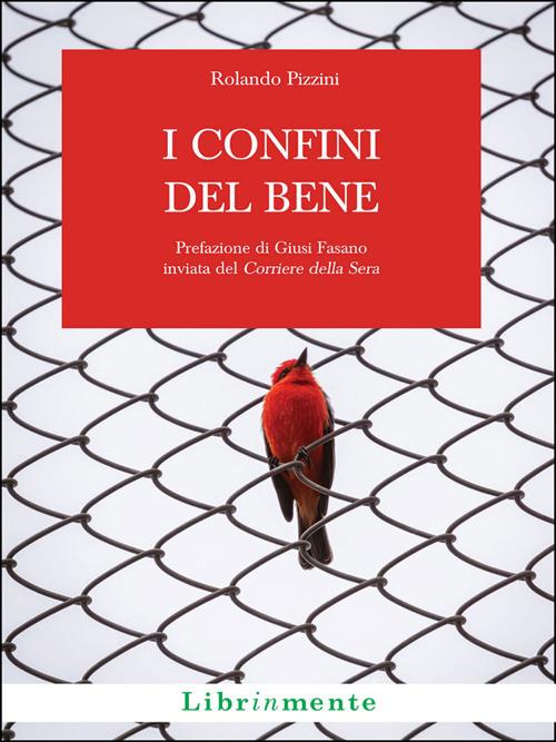 I confini del bene - Rolando Pizzini - ebook