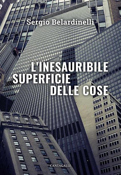 L' inesauribile superficie delle cose - Sergio Belardinelli - copertina