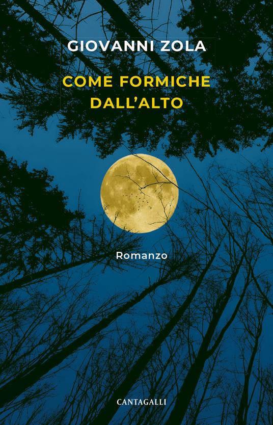 Come formiche dall'alto - Giovanni Zola - copertina