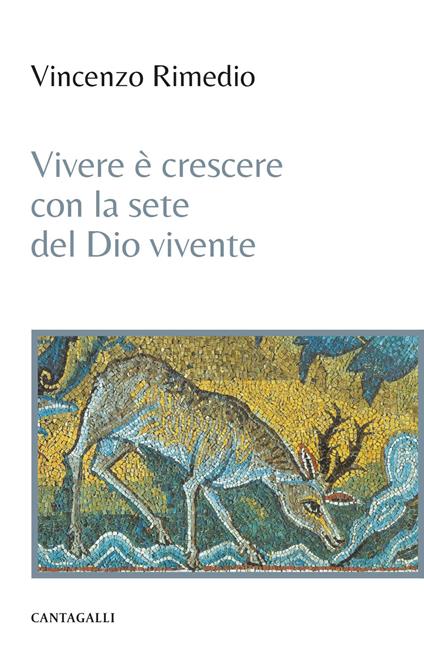 Vivere è crescere con la sete del Dio vivente - Vincenzo Rimedio - copertina