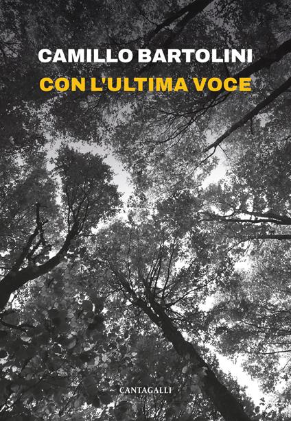 Con l'ultima voce - Camillo Bartolini - copertina