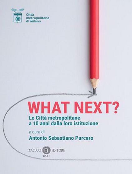 What Next? Le città metropolitane a 10 anni dalla loro istituzione - copertina