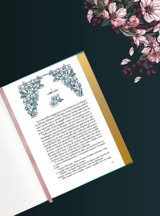 Twilight. Ediz. deluxe ventesimo anniversario - Stephenie Meyer - 4