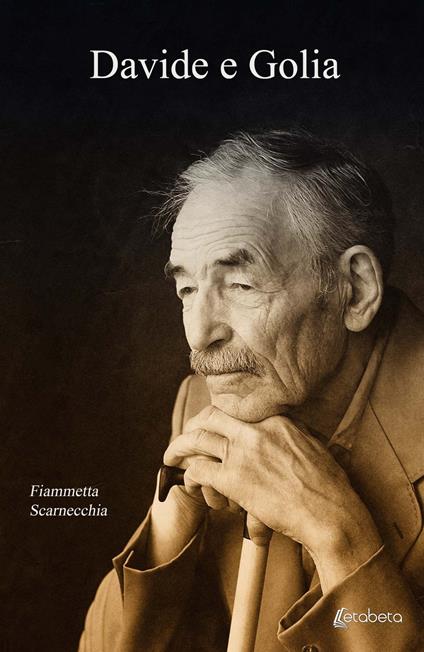 Davide e Golia - Fiammetta Scarnecchia - copertina