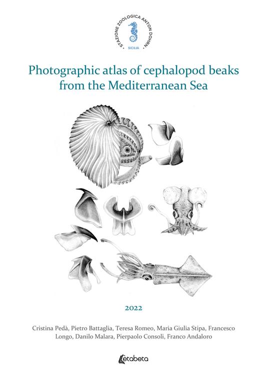 Photographic atlas of cephalopod beaks from the Mediterranean Sea - Cristina Pedà,Pietro Battaglia,Teresa Romeo - copertina
