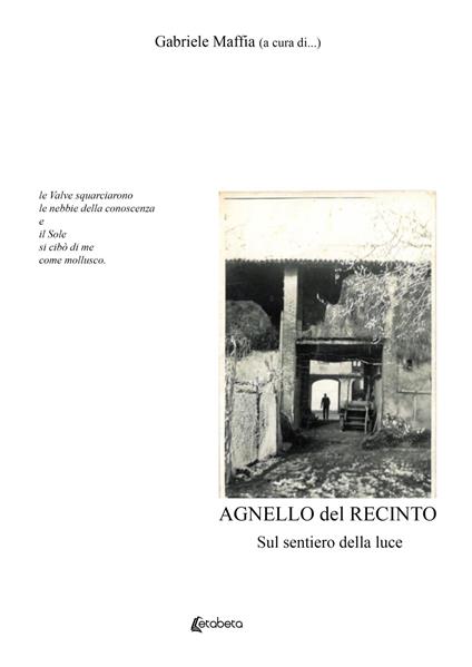 Agnello del recinto. Sul sentiero della luce - copertina