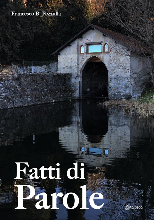 Fatti di parole - Francesco B. Pezzulla - copertina