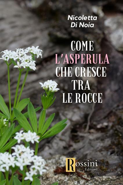 Come l'asperula che cresce tra le rocce - Nicoletta Di Noia - copertina