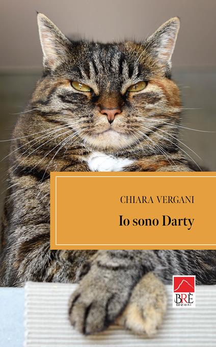 Io sono Darty - Chiara Vergani - copertina