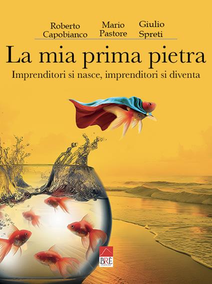 La mia prima pietra. Imprenditori si nasce, imprenditori si diventa - Roberto Capobianco,Mario Pastore,Giulio Spreti - copertina