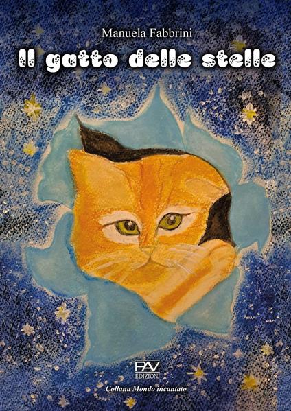 Il gatto delle stelle. Ediz. a colori - Manuela Fabbrini - copertina
