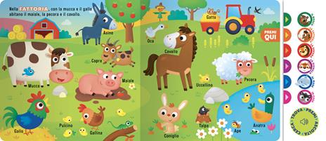 Animali - Anna Casalis - 4