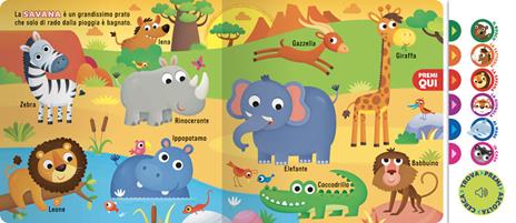 Animali - Anna Casalis - 5