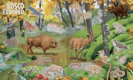 Amici animali. Mondo animale. Con adesivi. Ediz. a colori - Anna Casalis - 3