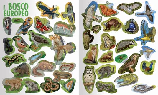 Amici animali. Mondo animale. Con adesivi. Ediz. a colori - Anna Casalis - 4