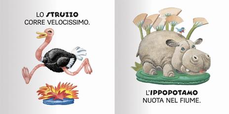 Animali. Ediz. a colori - Anna Casalis - 3
