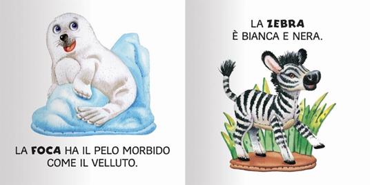 Animali. Ediz. a colori - Anna Casalis - 4