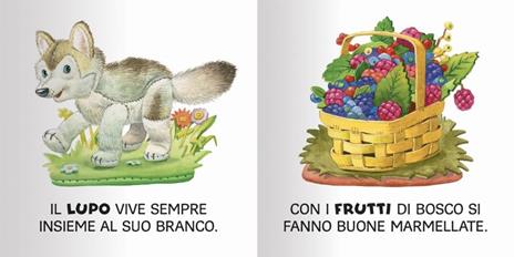 Bosco. Ediz. a colori - Anna Casalis - 2