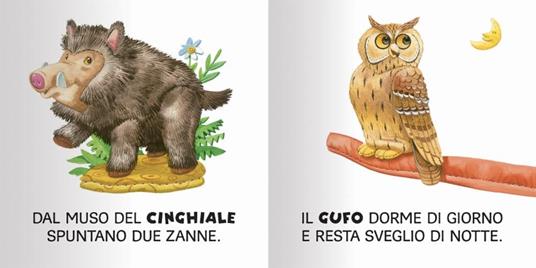 Bosco. Ediz. a colori - Anna Casalis - 4