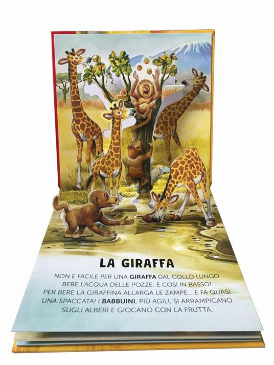 Animali selvaggi. Libro pop-up. Ediz. a colori - Anna Casalis - 2
