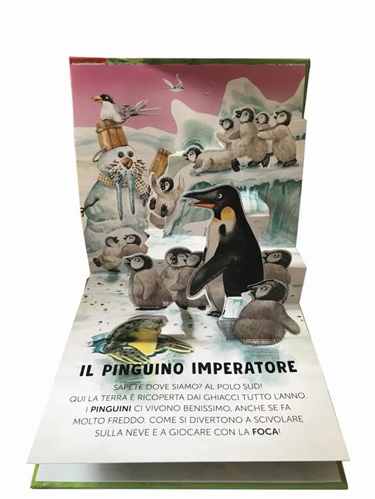Animali da proteggere. Il libro pop-up. Ediz. a colori - Anna Casalis - 4