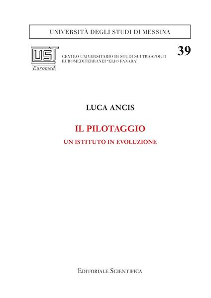 Il pilotaggio. Un istituto in evoluzione - Luca Ancis - copertina