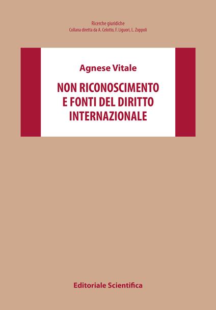 Non riconoscimento e fonti del diritto internazionale - Agnese Vitale - copertina