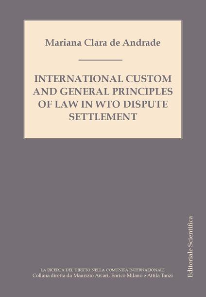 International custom and general principles of law in WTO disputes settlement - Mariana Clara de Andrade - copertina