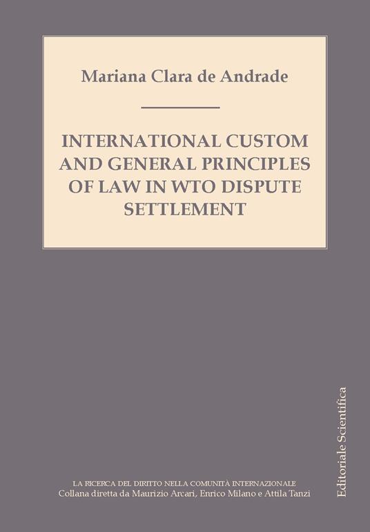 International custom and general principles of law in WTO disputes settlement - Mariana Clara de Andrade - copertina