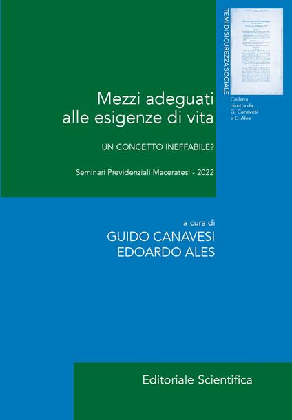 Mezzi adeguati alle esigenze di vita. Un concetto ineffabile? - copertina